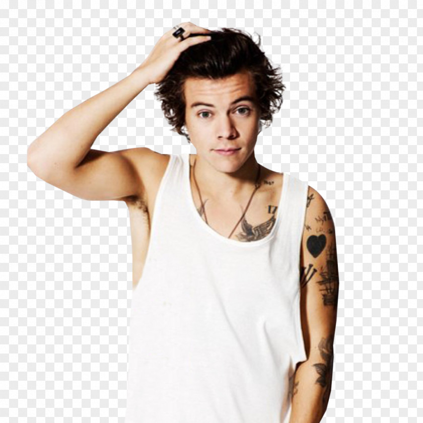 Direction Harry Styles One Photo Shoot Boy Band PNG