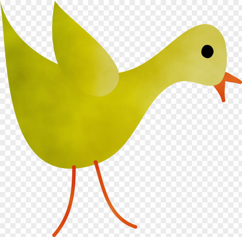 Ducks Birds Chicken Water Bird Beak PNG