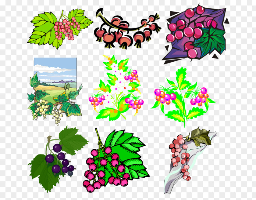 Grape Floral Design Illustration Clip Art Cut Flowers PNG