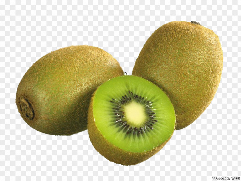 Kiwi Kiwifruit Vecteur PNG