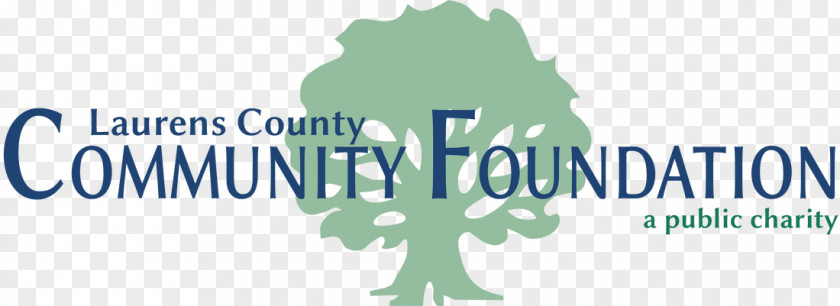 York County Community Foundation Laurens County, Georgia PNG