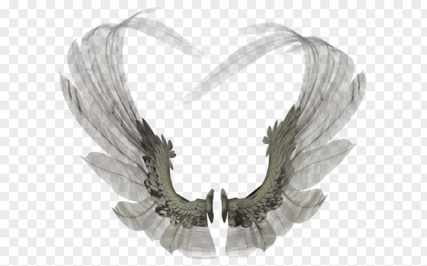 Angel Feathers Stock Photography DeviantArt Clip Art PNG