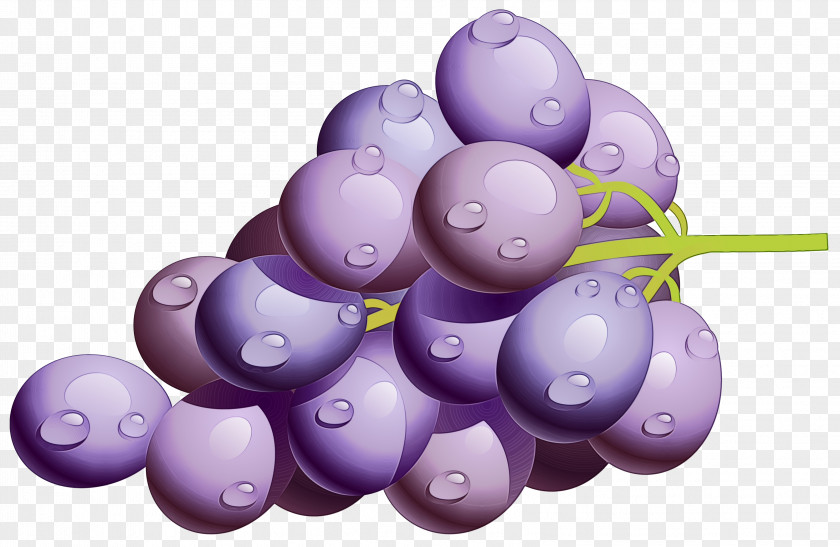 Berry Vitis Grapes Cartoon PNG
