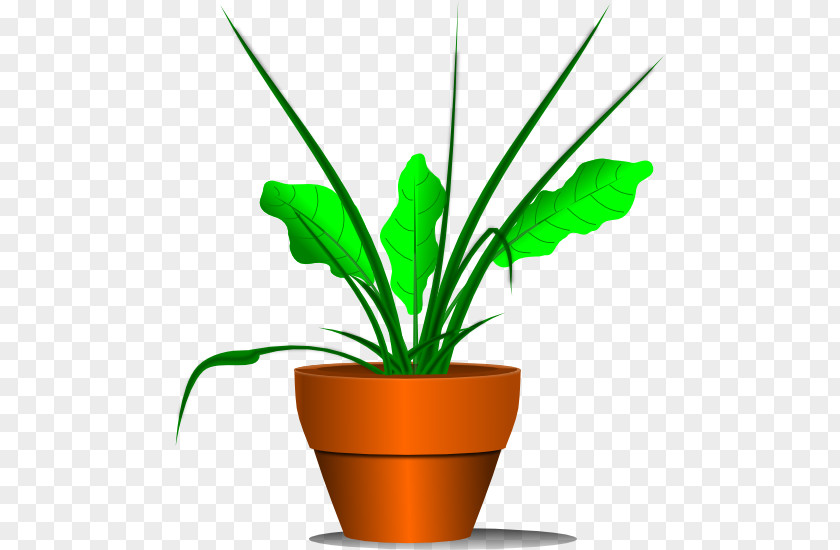 Cartoon Plants Houseplant Download Clip Art PNG