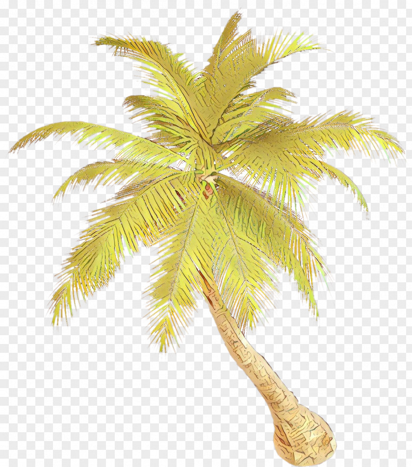 Clip Art Palm Trees Openclipart PNG