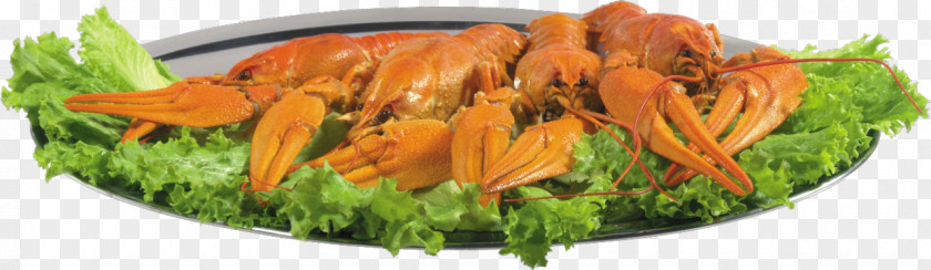Crab Crayfish As Food Beer Lobster Vegetarian Cuisine PNG