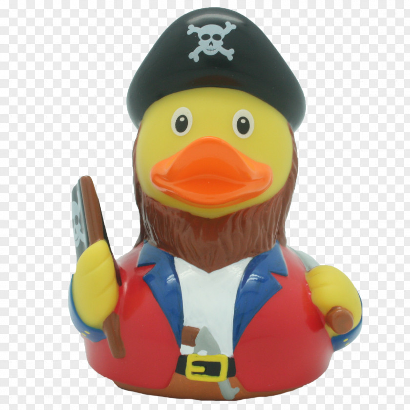 Duck Rubber Jolly Roger Piracy Amazonetta PNG