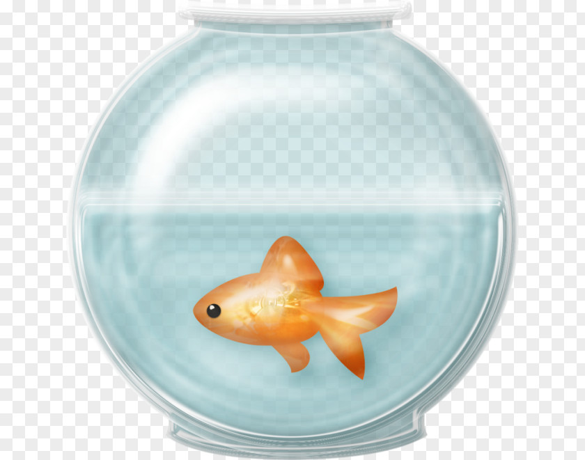 Fish Goldfish Aquarium Clip Art PNG