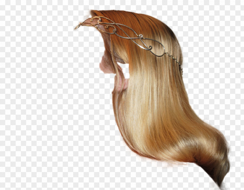 Hair Wig Long Coloring PNG