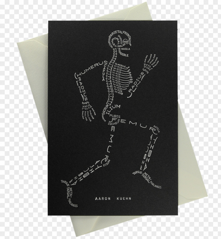 Skeleton Human Body Bone Typography PNG