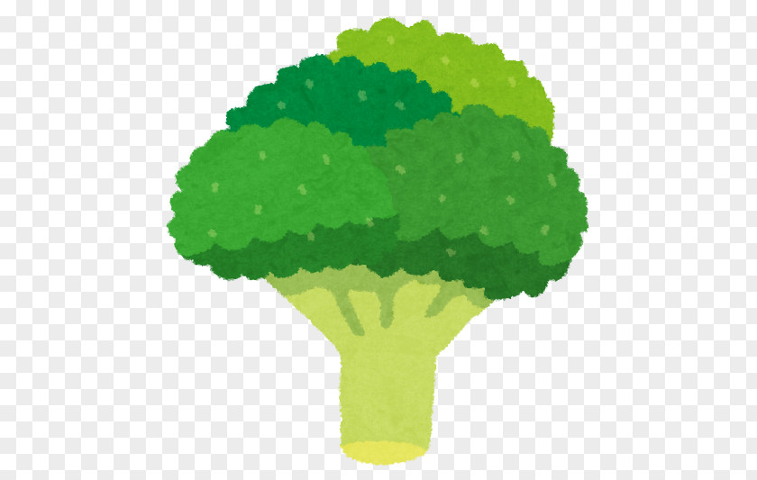Broccoli Sulforaphane Cauliflower Vegetable Food PNG