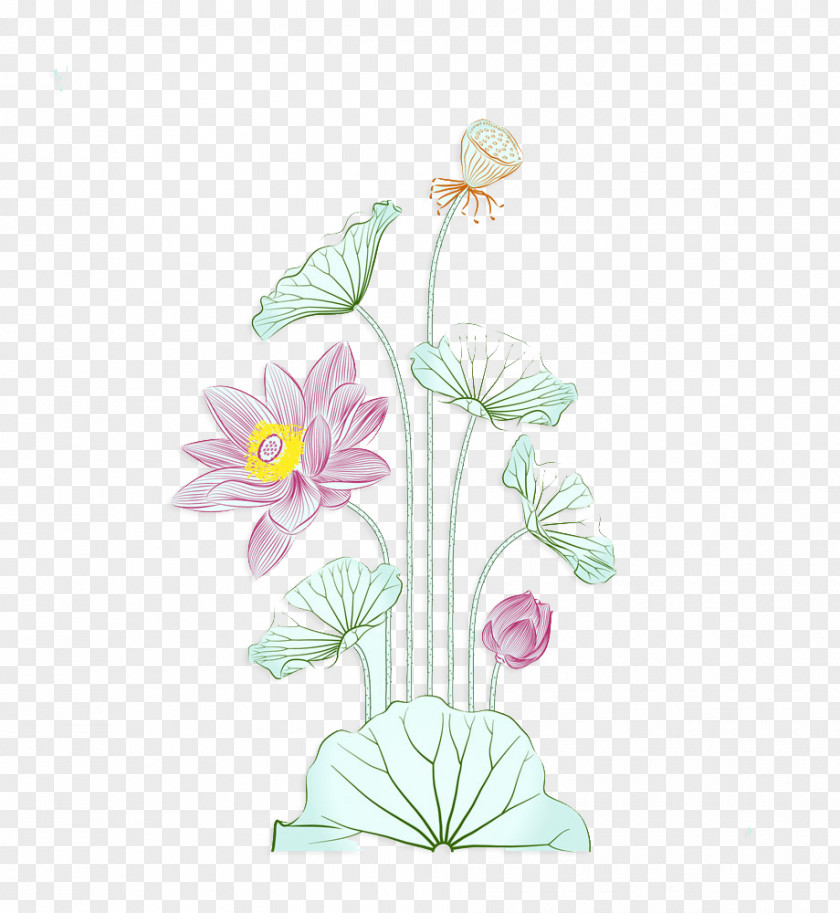 Creative Watercolor Lotus Painting Nelumbo Nucifera Illustration PNG