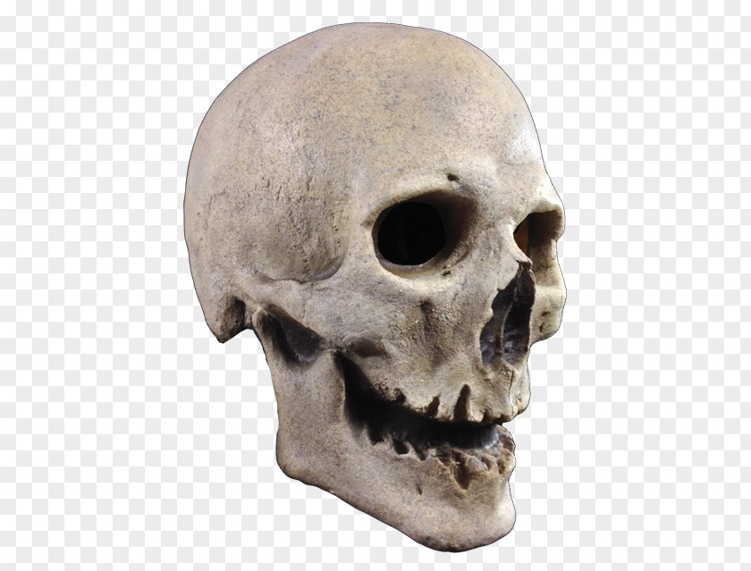 Mask Human Skeleton Skull Costume PNG