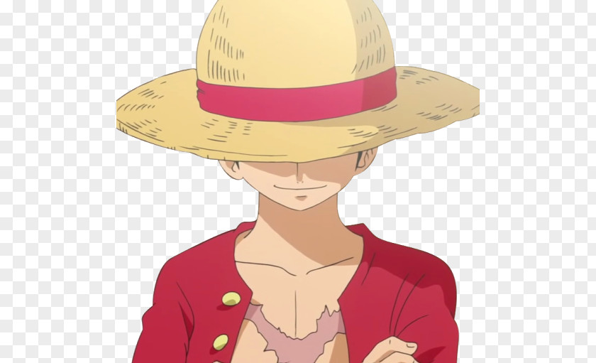 One Piece Monkey D. Luffy Roronoa Zoro Boa Hancock Nami PNG