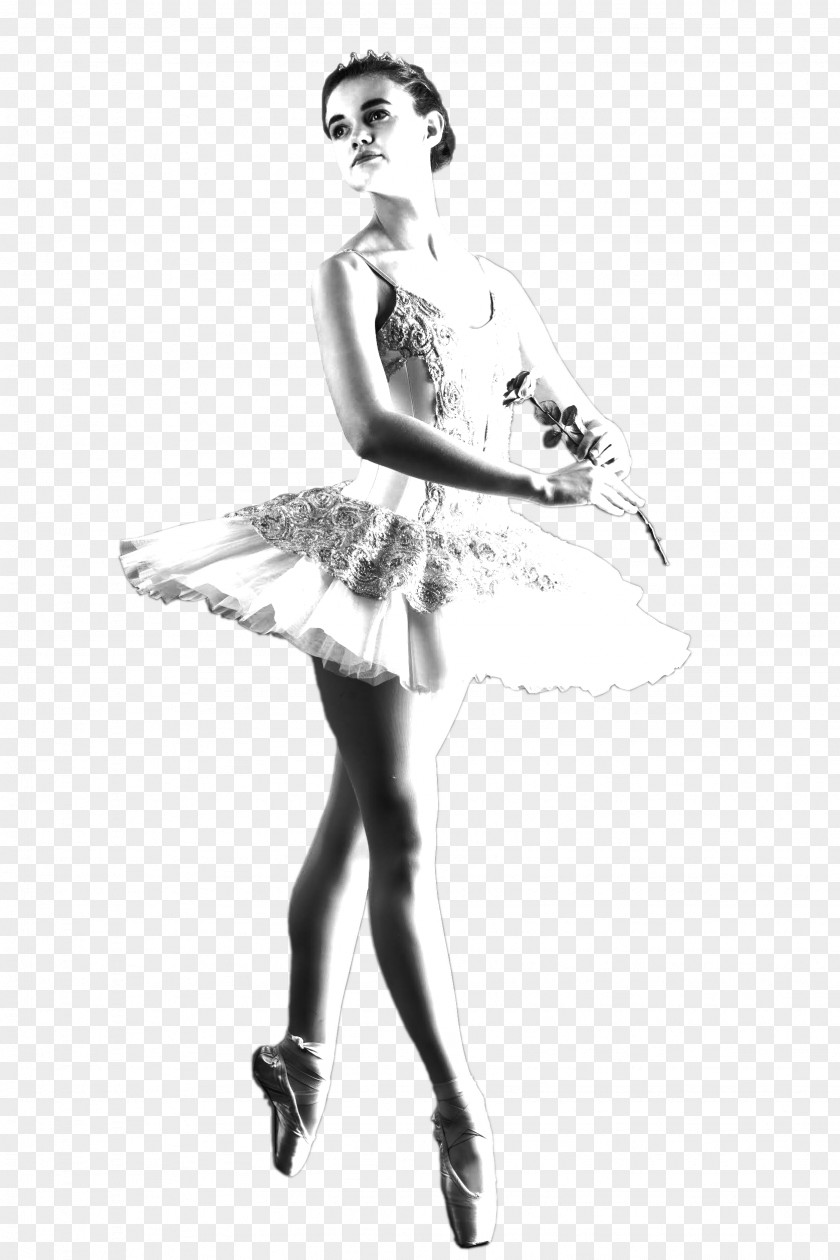 Swan Dance Tutu Ballet Costume Performing Arts PNG