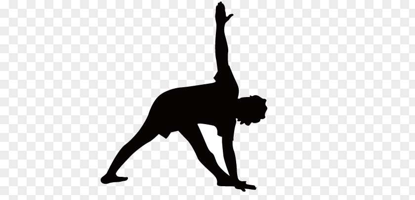 Fitness Silhouette Figures Physical Yoga Bodybuilding PNG