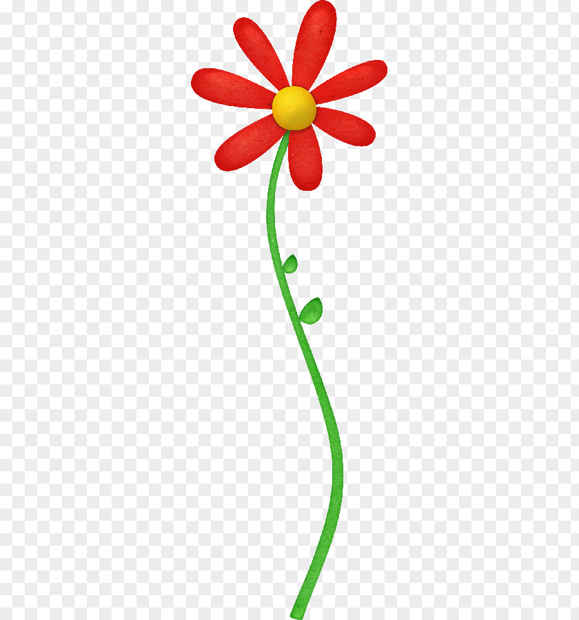Flower Saint Petal Drawing Clip Art PNG