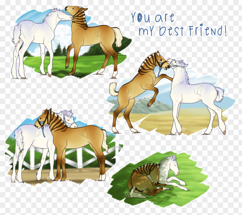 Friendship Cats Mustang Foal Clip Art Quagga Mane PNG