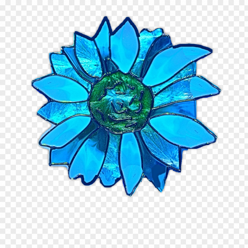 Rose Family Cut Flowers Petal Turquoise PNG