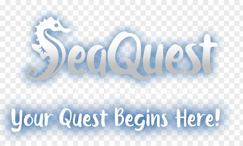 Seaquest Interactive Aquarium Las Vegas SeaQuest Fort Worth Utah Littleton Couponcode PNG