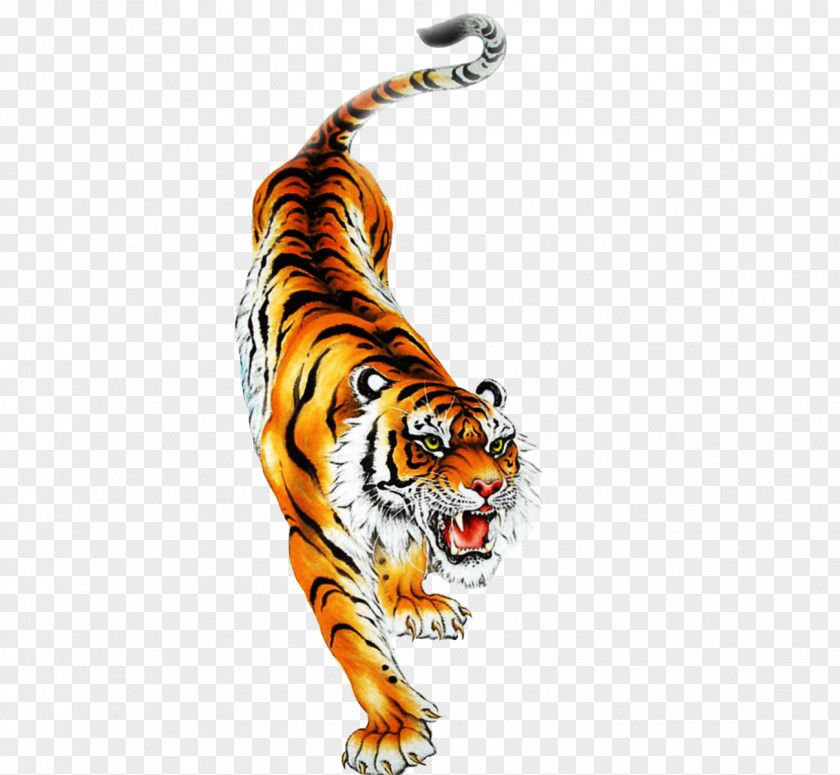 Tiger Stock Photos Royalty-free Illustration PNG