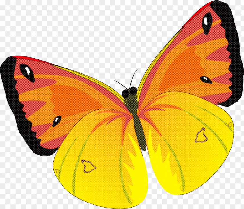 Monarch Butterfly PNG