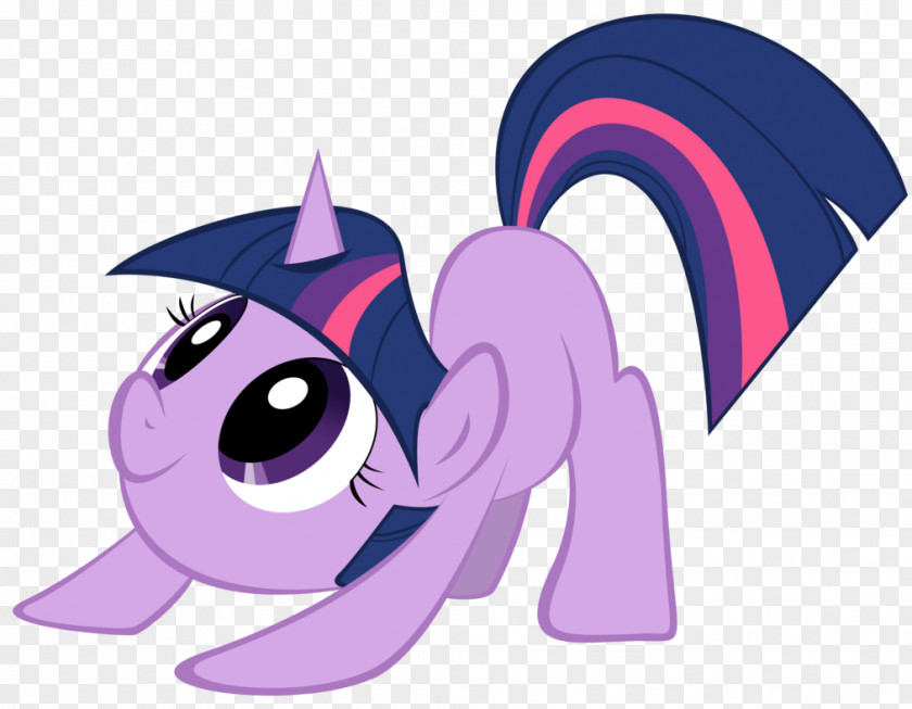 My Little Pony Twilight Sparkle Pinkie Pie The Saga Film PNG