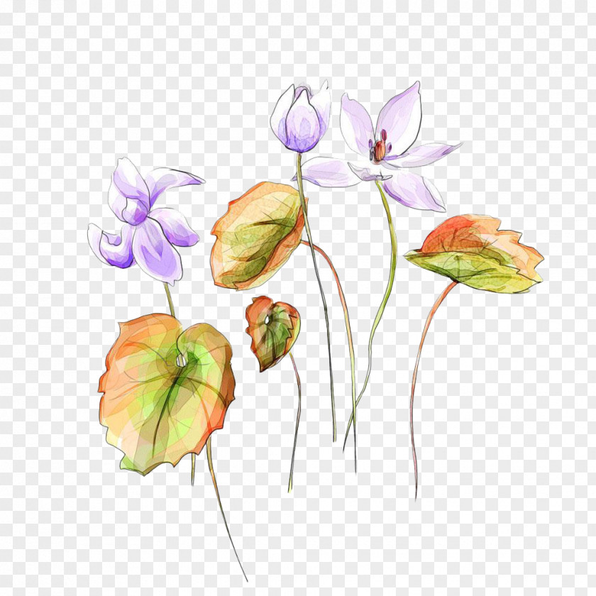 Painting Watercolor Floral Design PNG