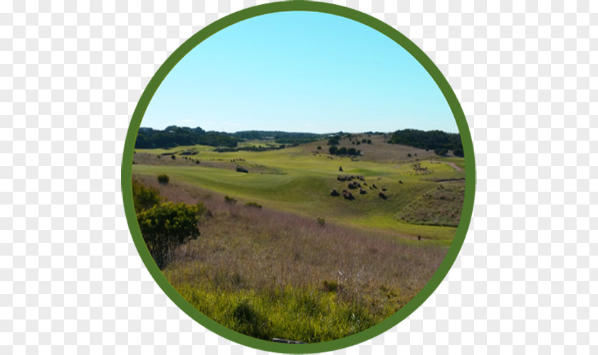 Shire Of Mornington Peninsula International Golf Specialists | Tours & Packages Grassland PNG