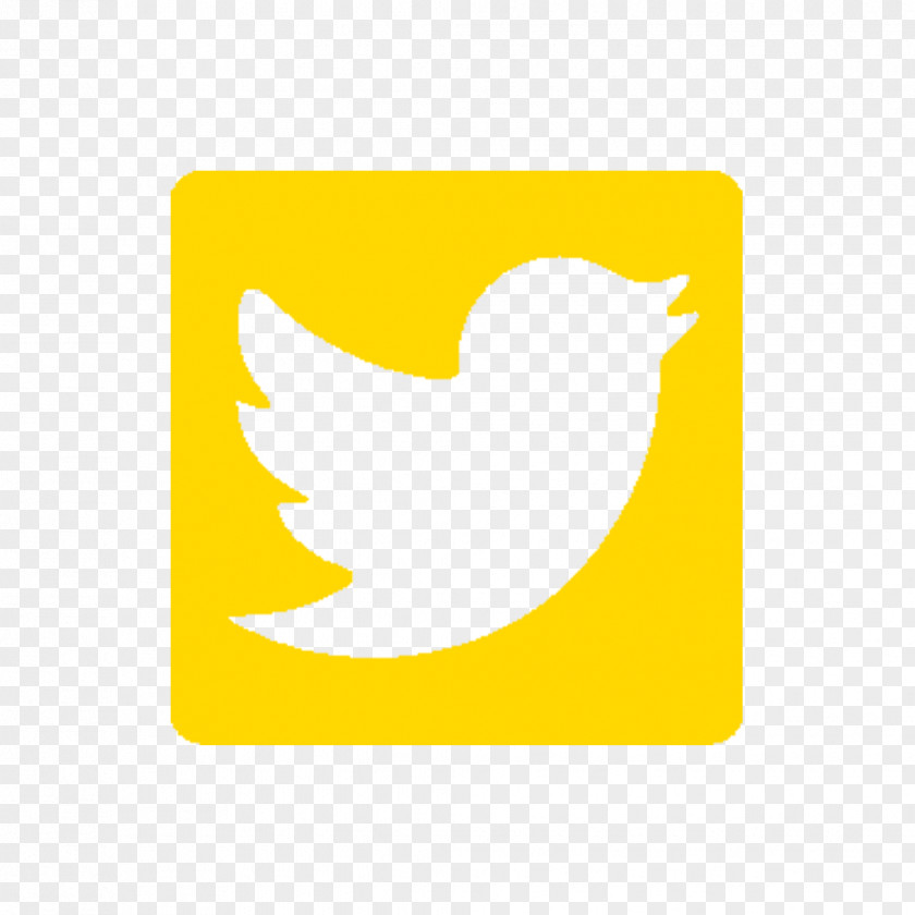Social Media YouTube Logo PNG
