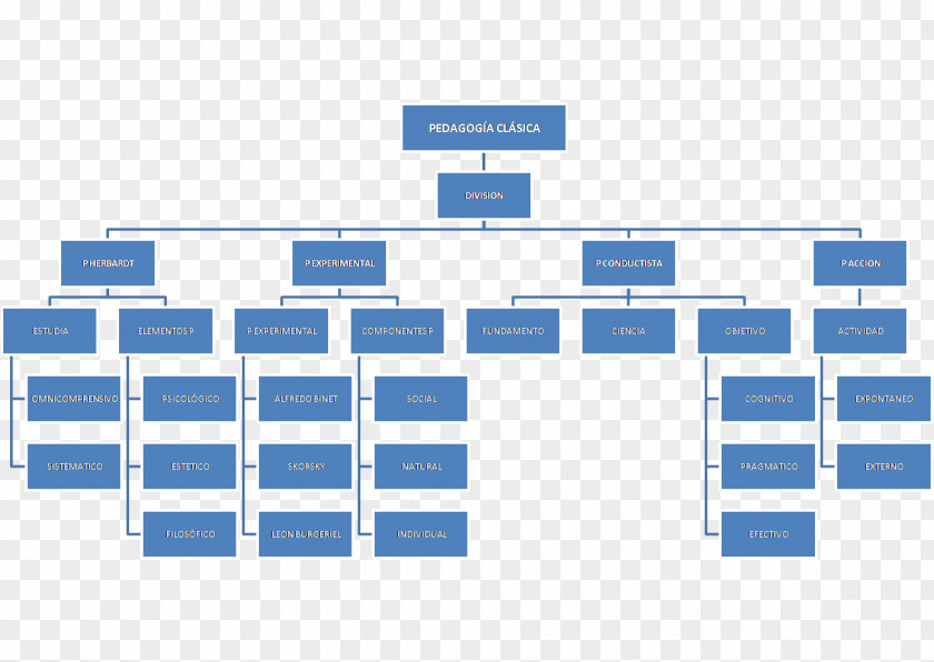 Work Breakdown Structure Diagram Organization Management PNG