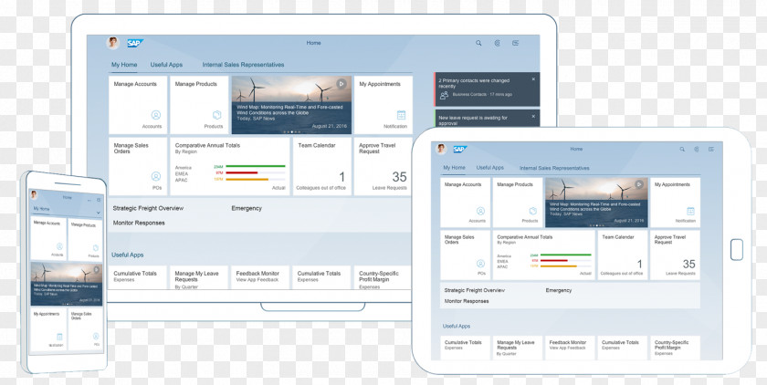 2.0 SAP ERP SE S/4HANA HANA NetWeaver Portal PNG