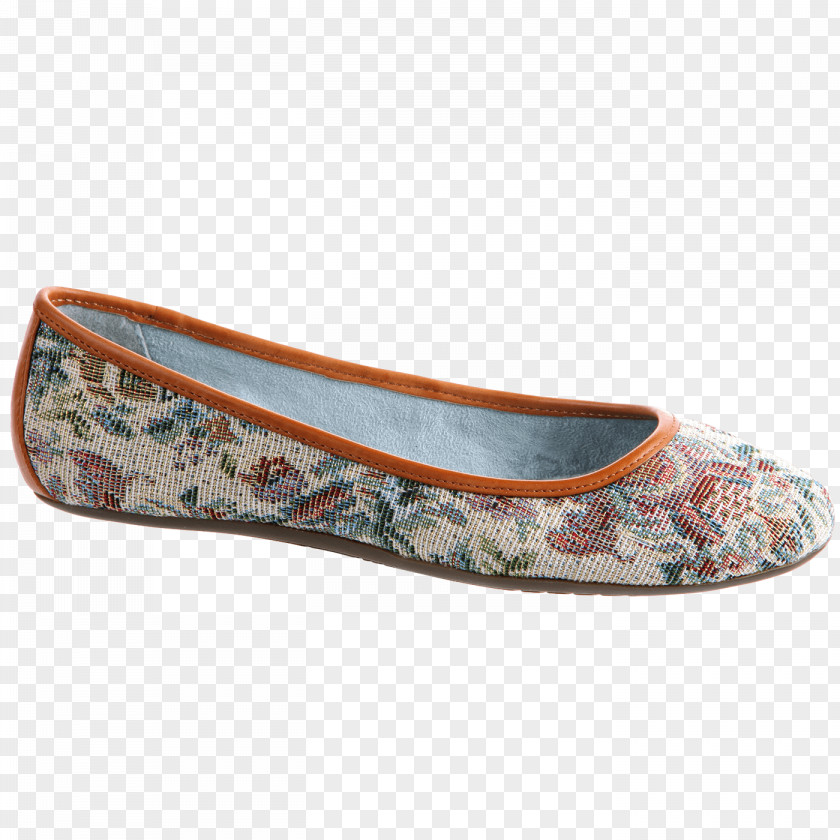 Ballet Flat High-heeled Shoe Footwear PNG