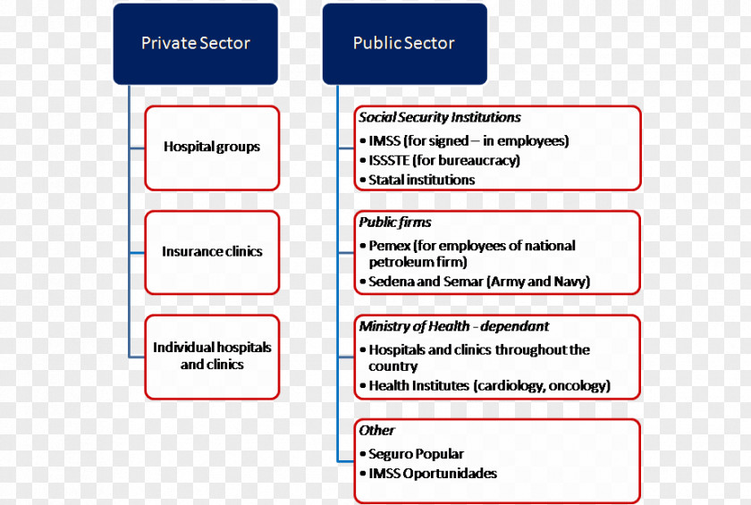 Body Diagram Mexican Social Security Institute Organization Health Care Insurance PNG