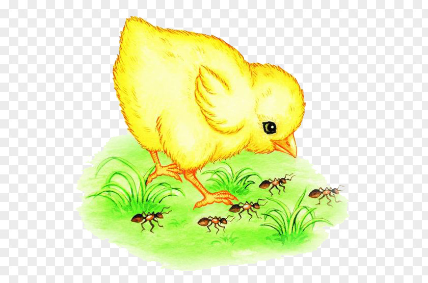 Chick And Ants Ant Watercolor Painting Gratis PNG