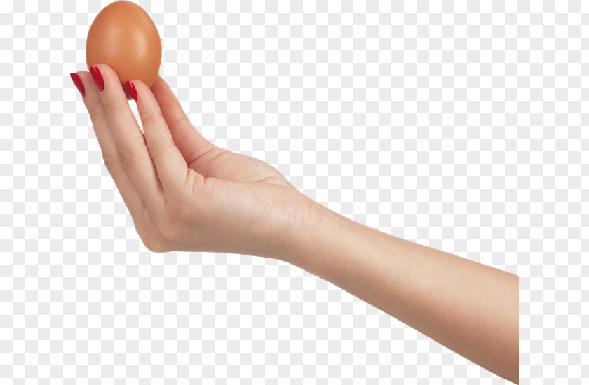 Hand Holding Fried Egg Display Resolution PNG
