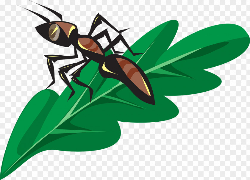 Insect Clip Art Ant Openclipart PNG