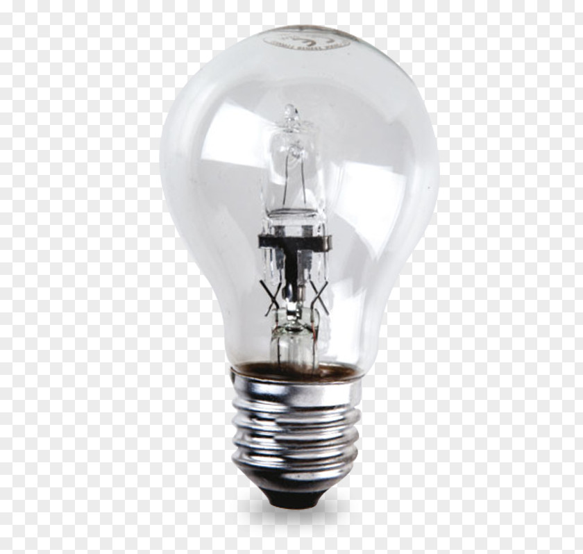Lamba Incandescent Light Bulb Edison Screw Lighting Halogen Candle PNG