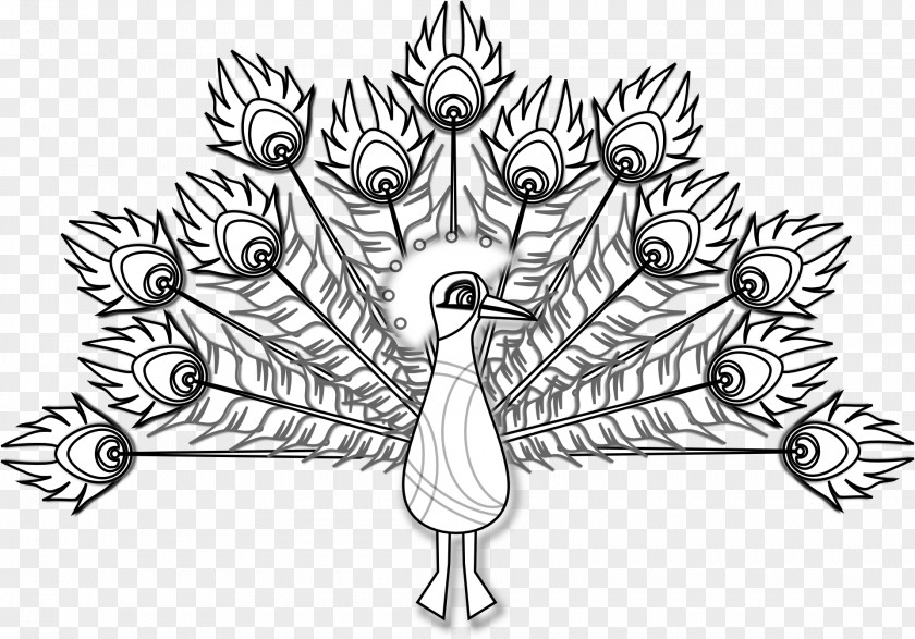 Peacock Drawing Clip Art PNG