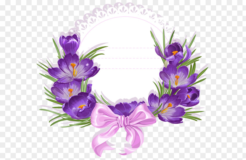 Flower Crocus Stock Photography Clip Art PNG