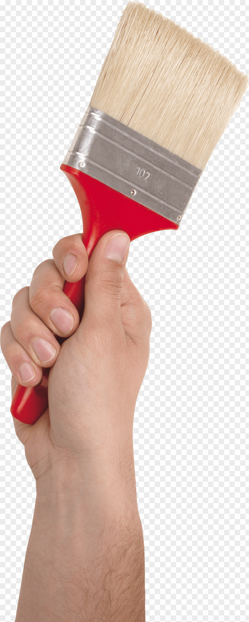 Paint Brush In Hand Image PNG
