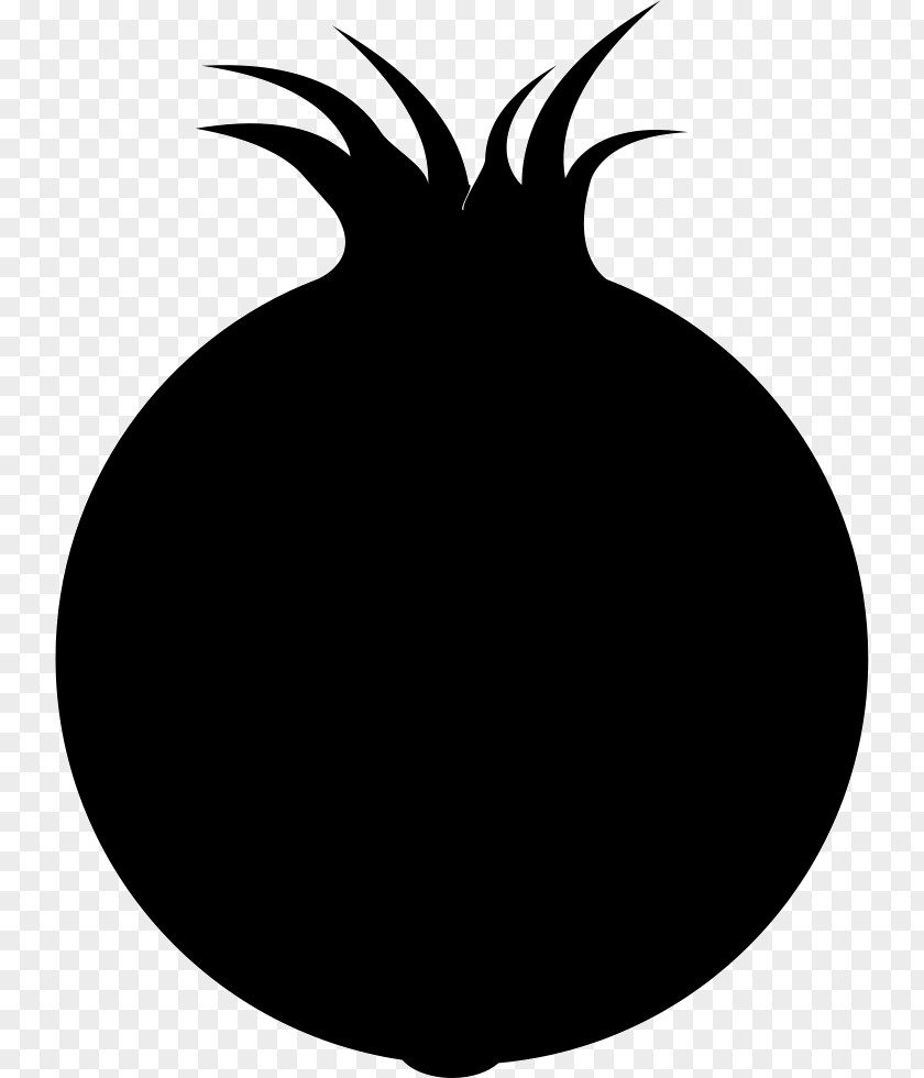 Silhouette Onion PNG