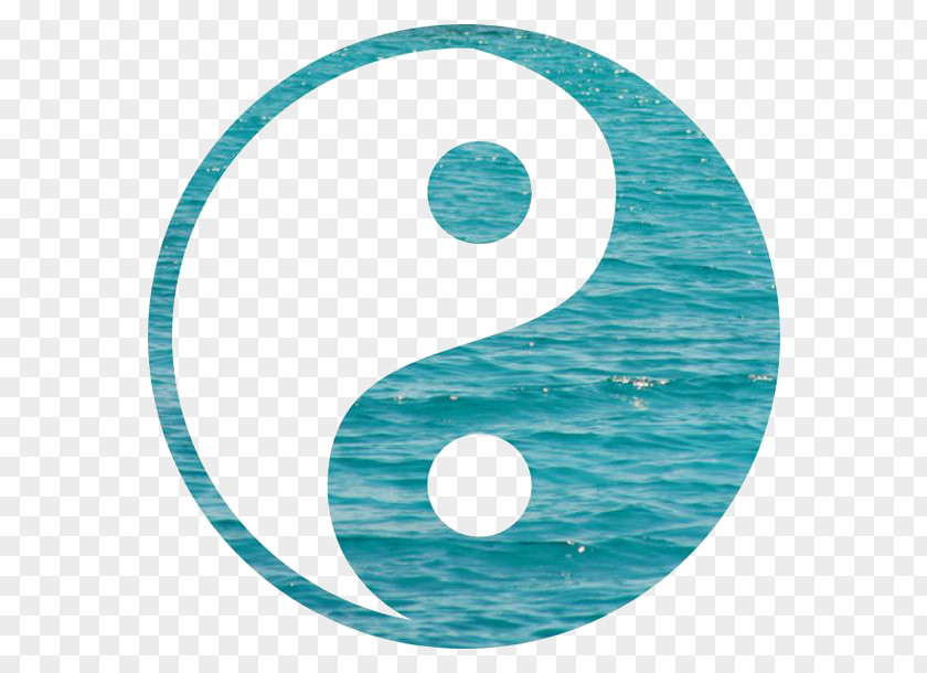 Yin Yang And Symbol Photography Acupuncture PNG