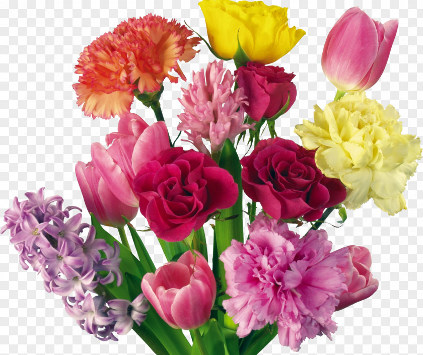 CARNATION Mother's Day Flower Bouquet Clip Art PNG