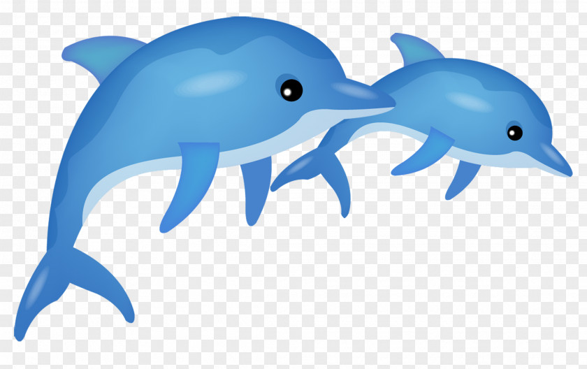 Dolphin Common Bottlenose Tucuxi Cartoon PNG
