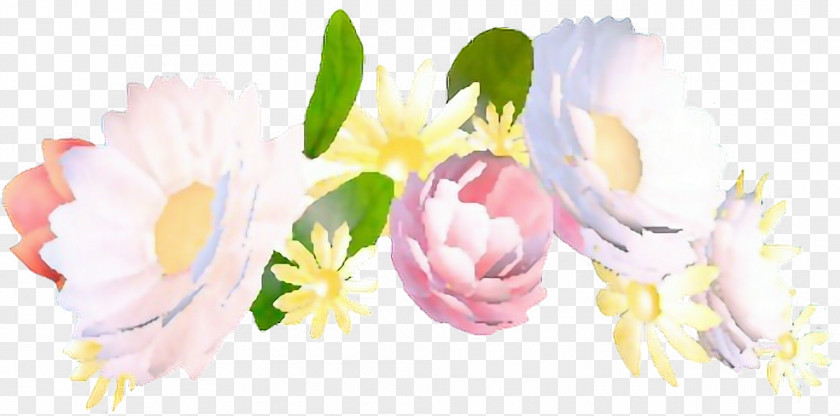 Flower Crown Wreath Snapchat Snap Inc. PNG