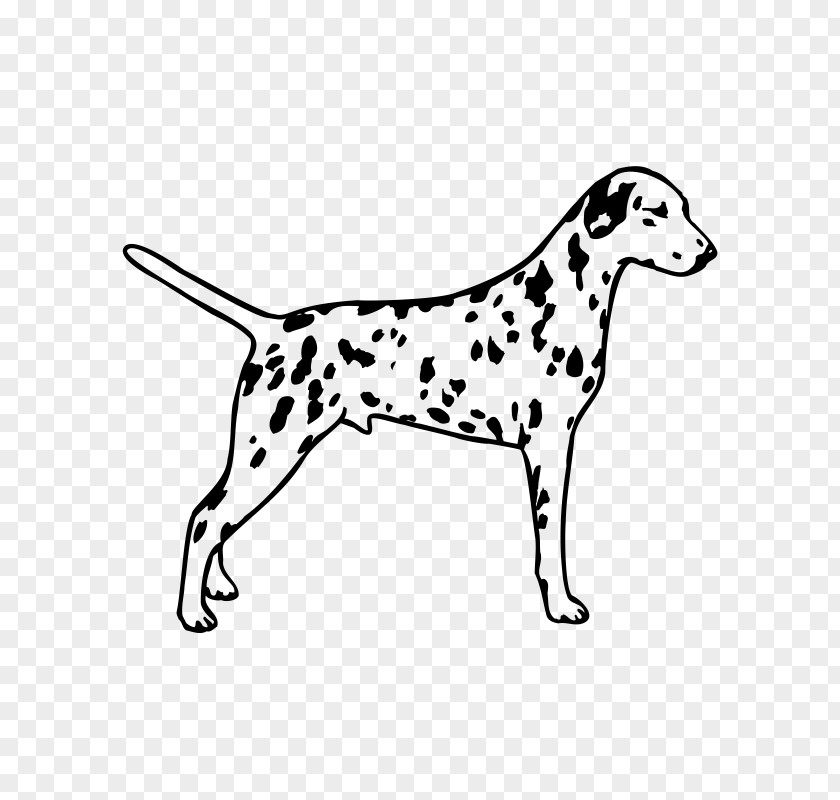 Puppy Dalmatian Dog Bull Terrier The 101 Dalmatians Musical Clip Art PNG