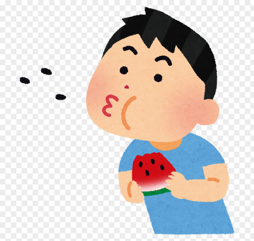 Watermelon Suikawari ＪＡ富里市総務部 果肉 PNG