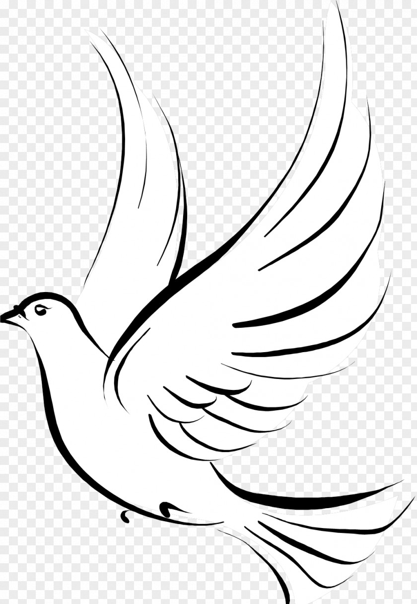 Bird Pigeons And Doves As Symbols Tattoo Image PNG