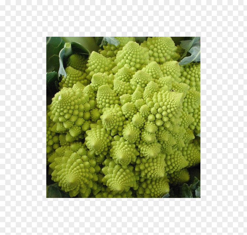 Broccoli Romanesco Cauliflower Vegetable Broccoflower PNG